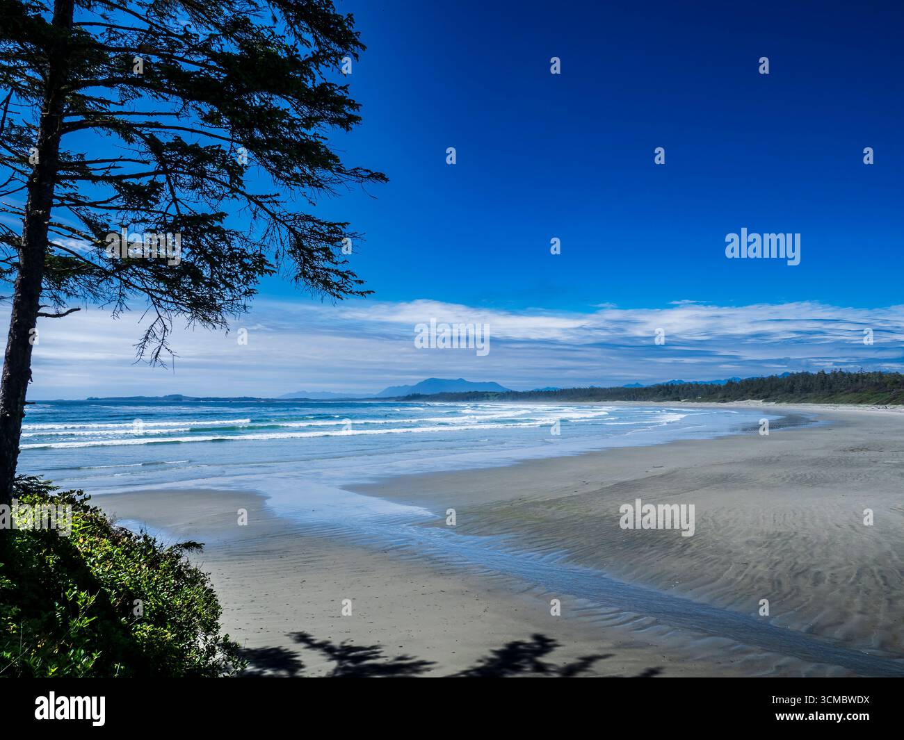 Plage de Wickaninnish, parc national Pacific Rim, Colombie-Britannique, Canada. Banque D'Images