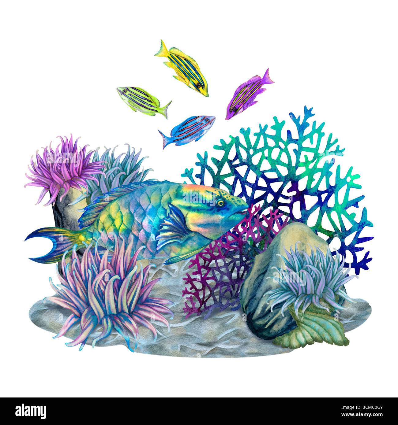 Poisson perroquet tropical néon parmi les coraux de feu à mailles multicolores, les anémones de mer, les pierres. Modèle d'aquarelle de vue sous-marine pour la conception marine, cartes, Banque D'Images