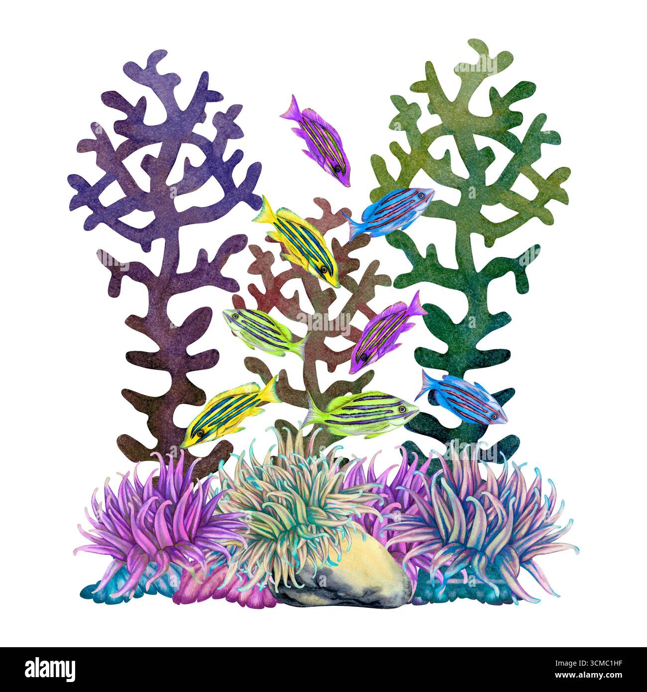 Poisson tropical rayé multicolore arc-en-ciel parmi les coraux colorés, les anémones de mer. Modèle de paysage marin d'aquarelle sous-marine pour la conception marine, cartes, poste Banque D'Images