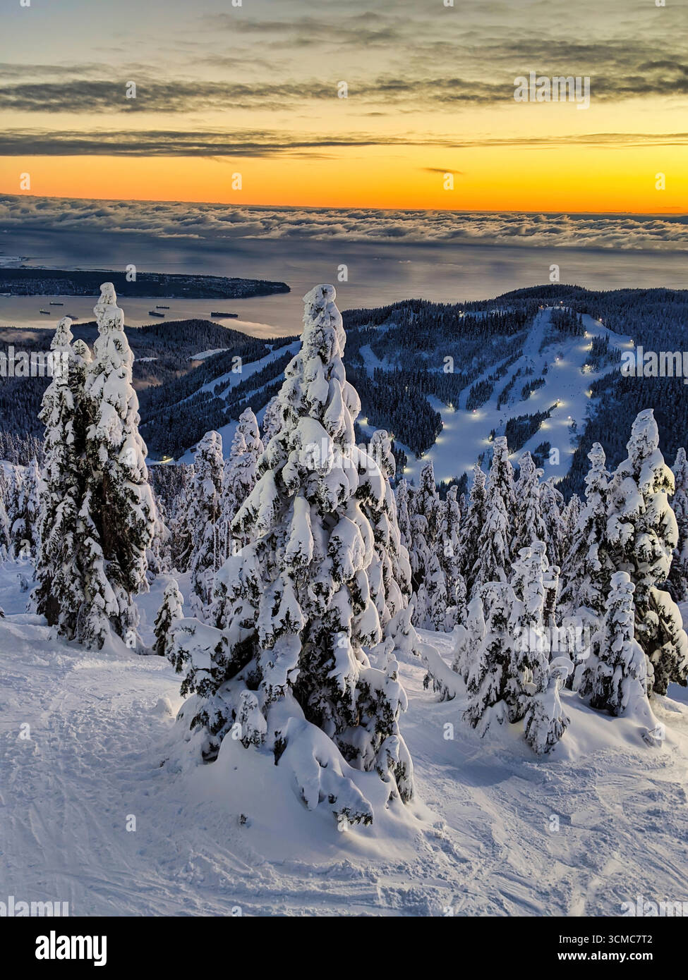 Glace rugueuse et neige fraîche à Noël ; textures givrées, lueur bleue et un paysage hivernal serein sous le crépuscule festif. Illustration de Vecteur