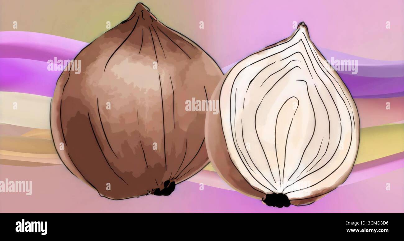 Mettant en vedette deux oignons reposant sur un fond dégradé de pastel, avec oignon entier et oignon coupé en deux Banque D'Images