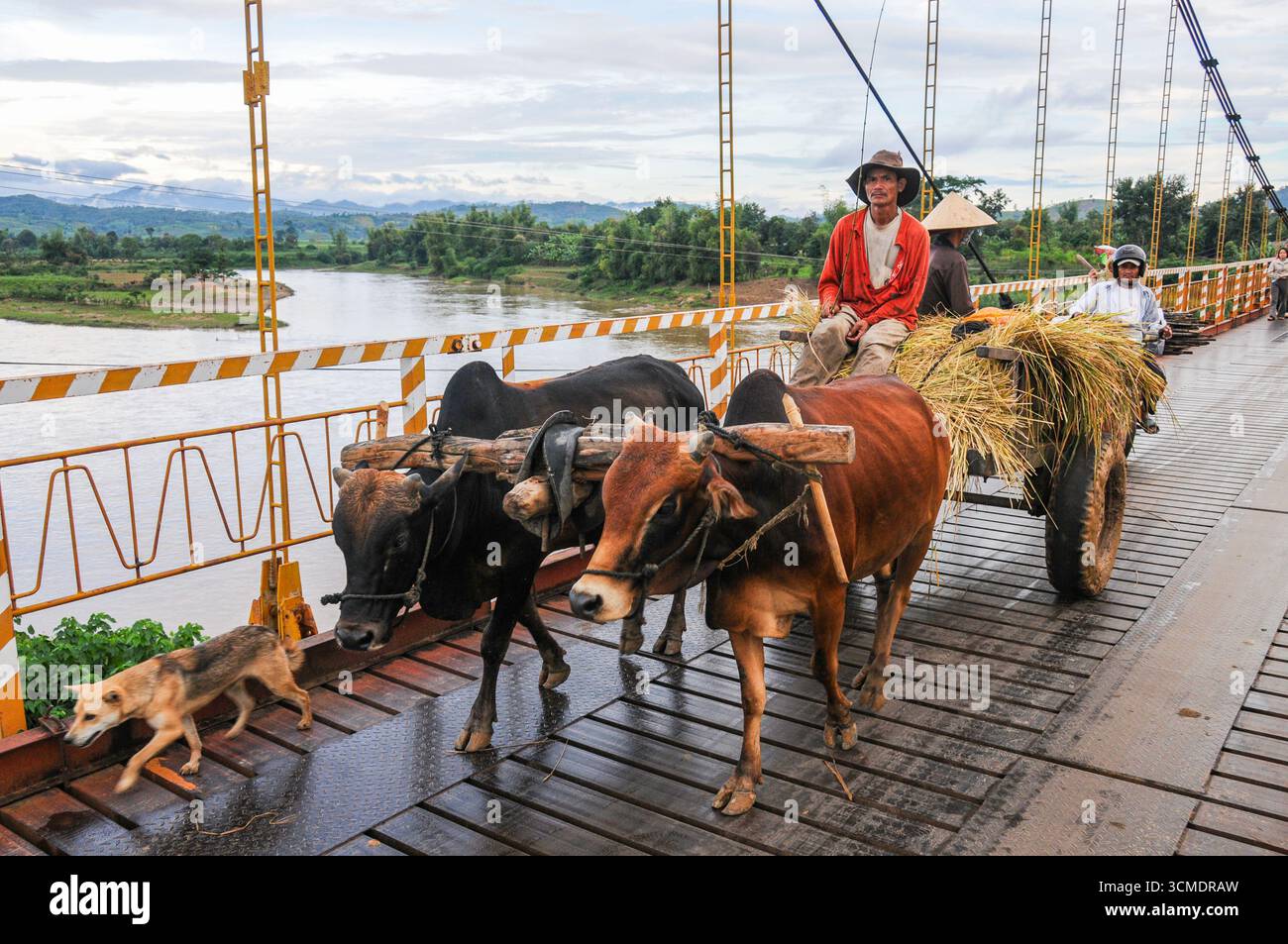 Pont suspendu traversant un chariot à bœufs près de Kon Tum Banque D'Images