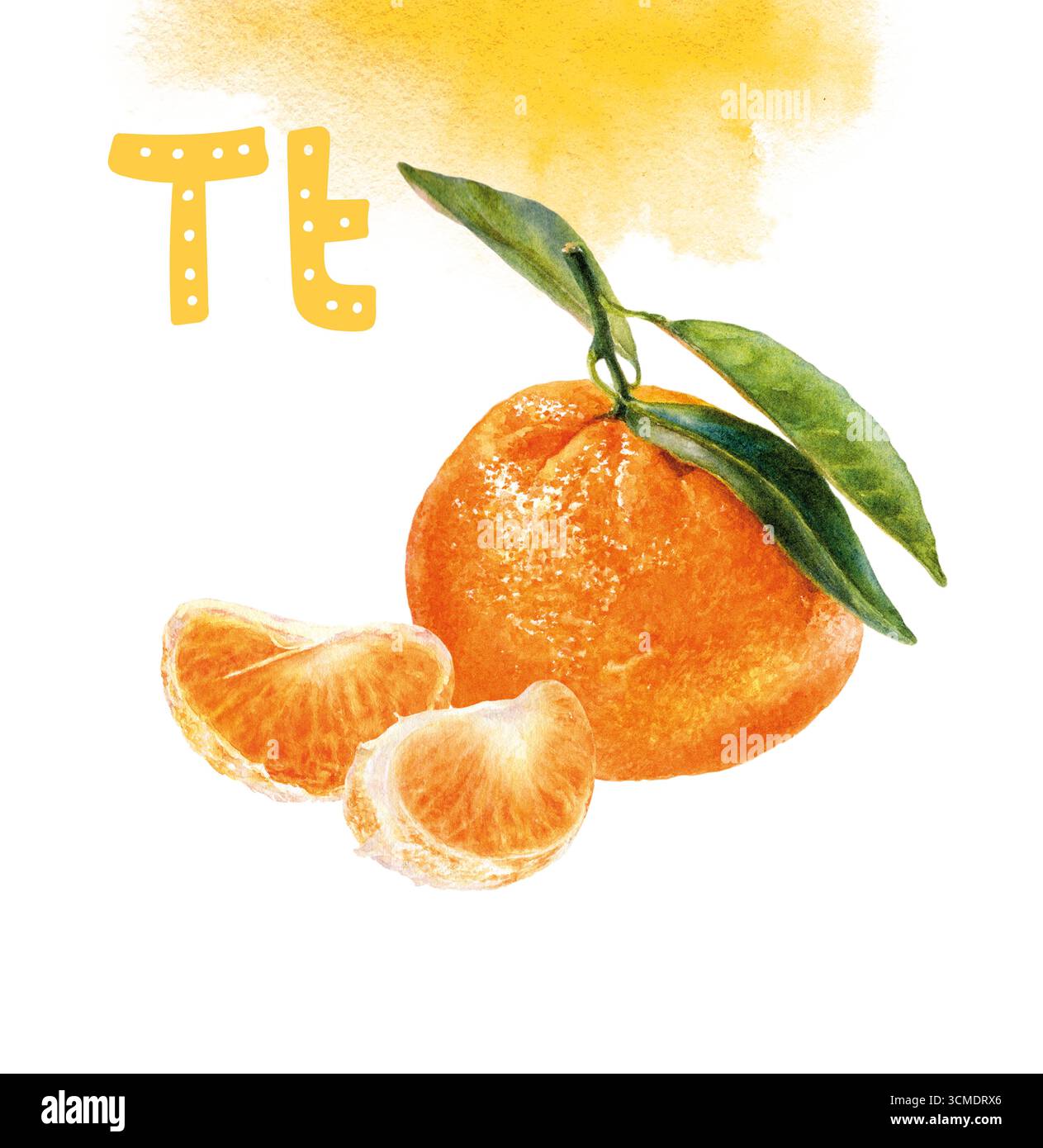 Aquarelle Tangerine réaliste avec lettre T illustration, fruits Alphabet Collection Banque D'Images