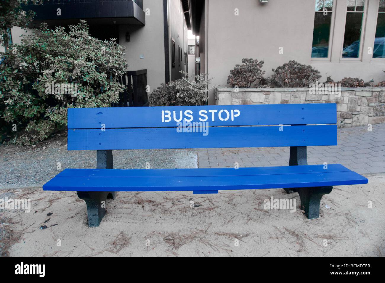 Variations colorées du banc d'arrêt de bus en milieu urbain Banque D'Images