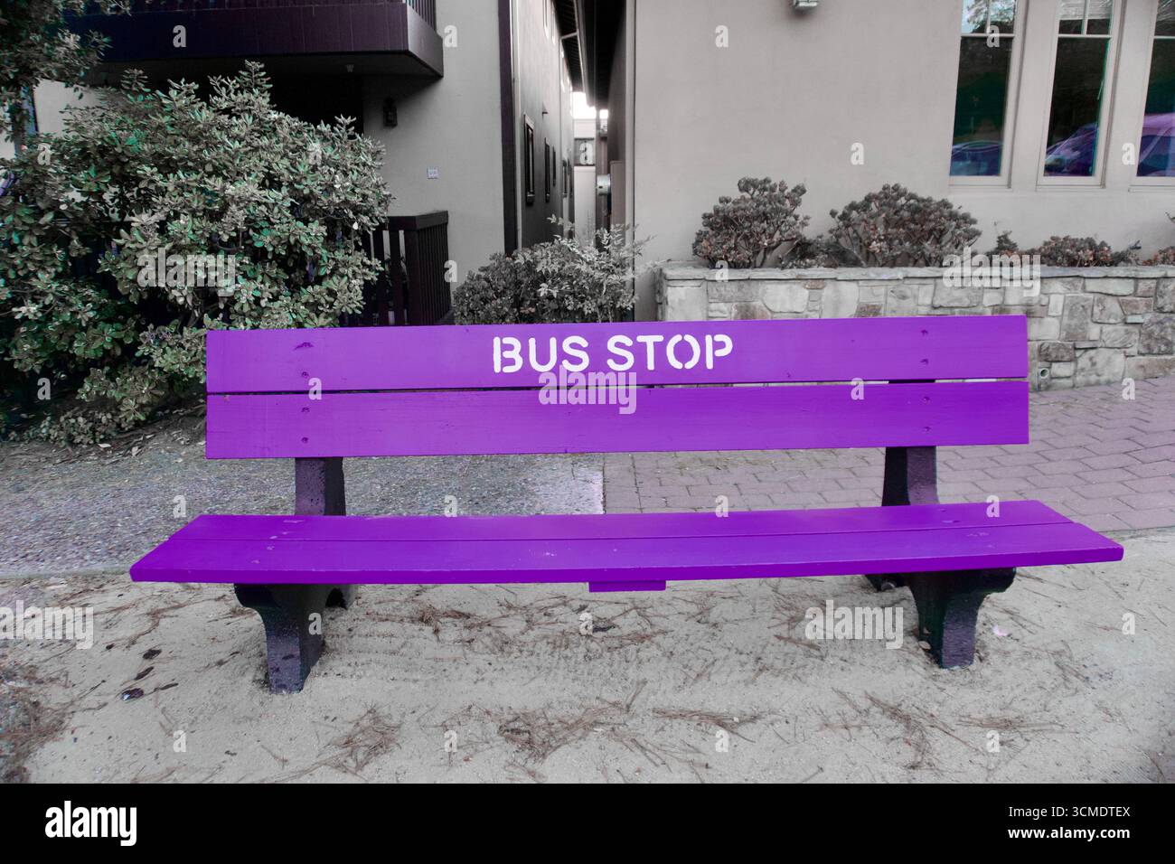 Variations colorées du banc d'arrêt de bus en milieu urbain Banque D'Images