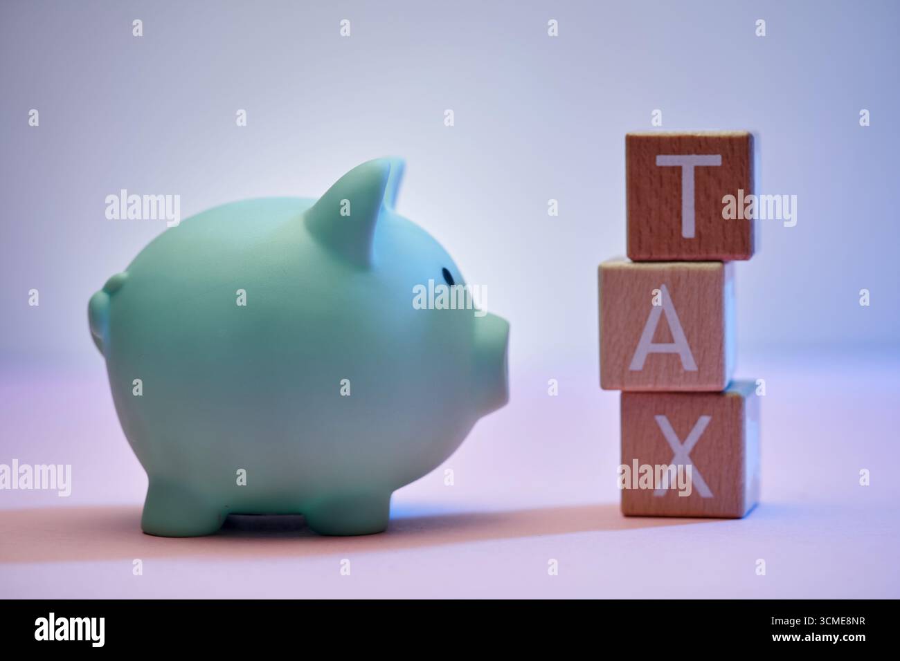 tirelire et bloc de bois avec taxe de texte Banque D'Images