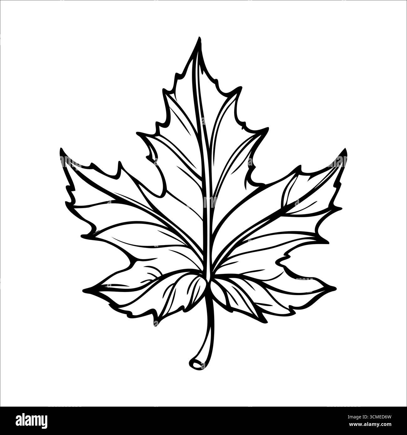 Illustration détaillée en noir et blanc d'une feuille d'érable. La feuille présente des veines proéminentes et une forme classique, mettant en valeur sa beauté naturelle et Illustration de Vecteur