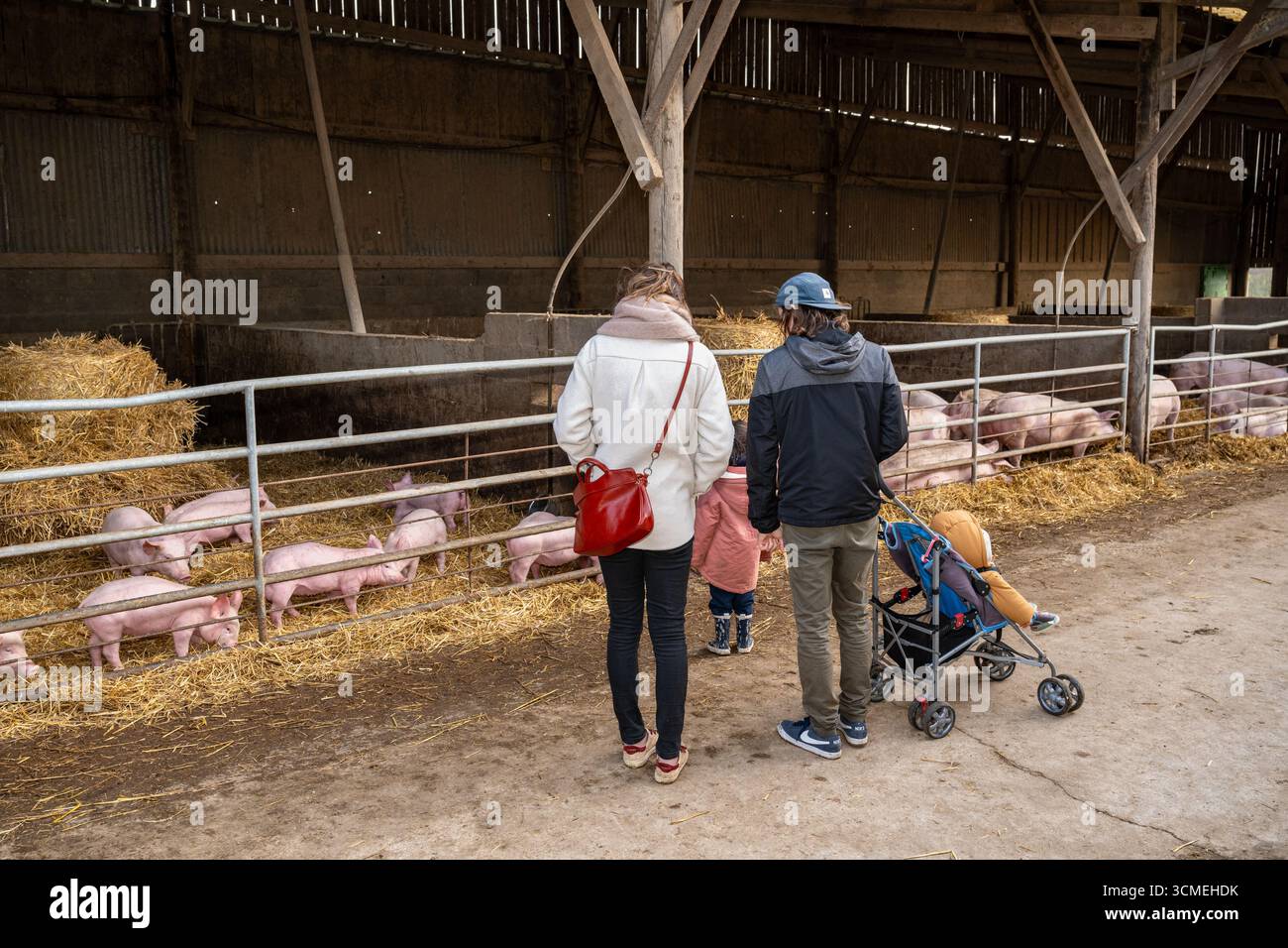 Ferme des Chataigniers à Catenay (nord de la France) : journée portes ouvertes annuelle dans cette ferme qui vend des produits agricoles (viandes cuites, produits laitiers, etc Banque D'Images