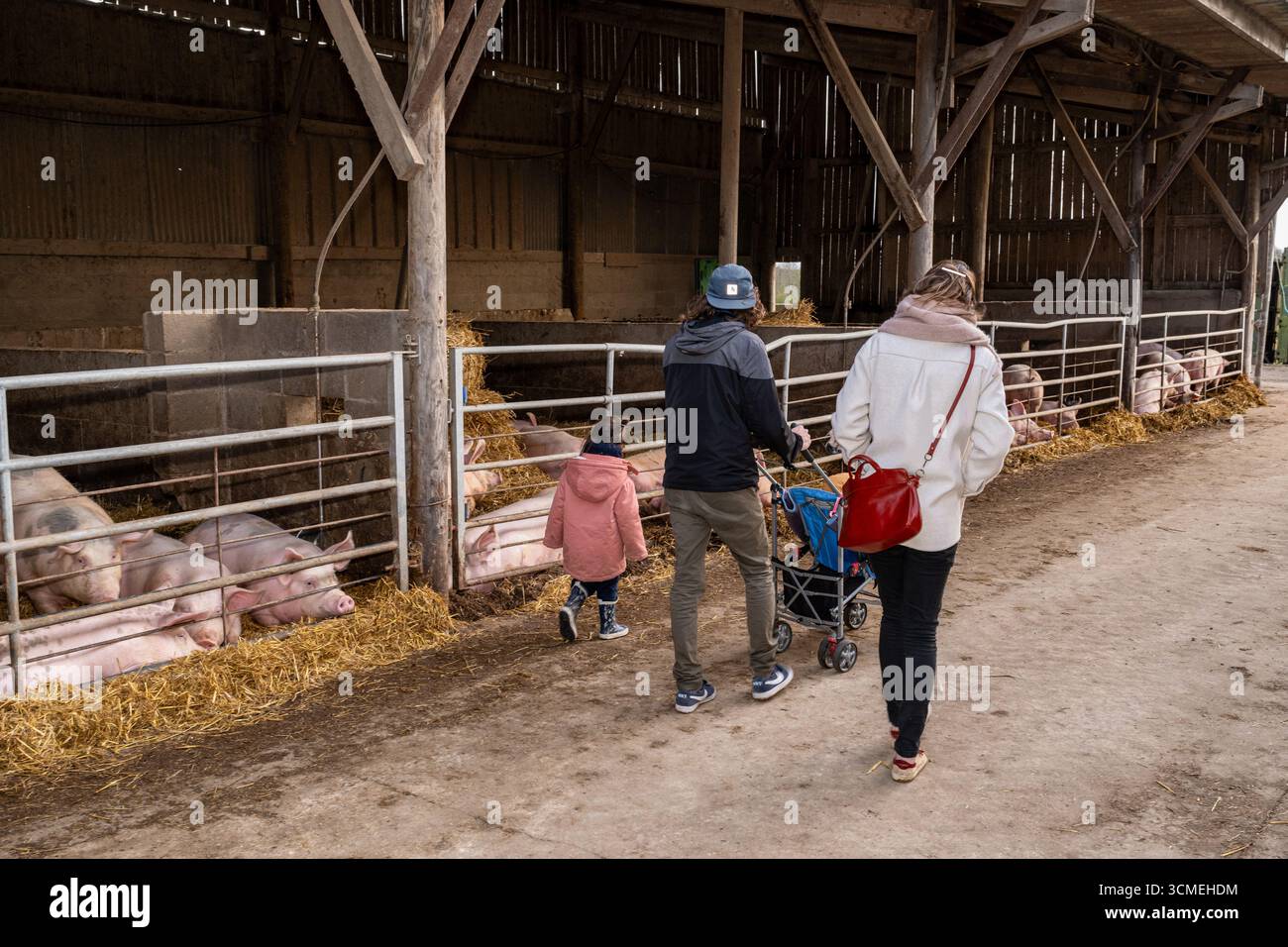 Ferme des Chataigniers à Catenay (nord de la France) : journée portes ouvertes annuelle dans cette ferme qui vend des produits agricoles (viandes cuites, produits laitiers, etc Banque D'Images