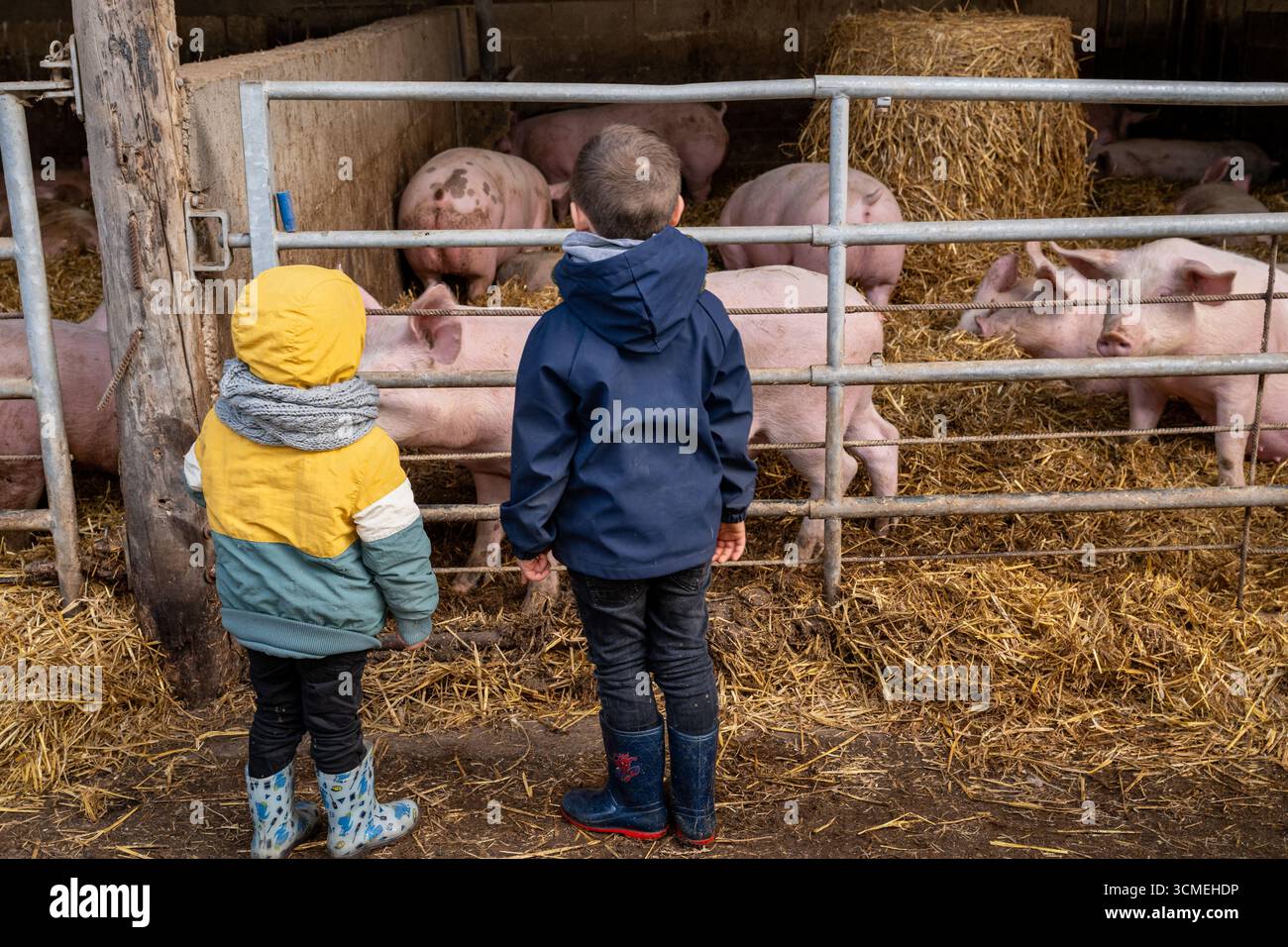 Ferme des Chataigniers à Catenay (nord de la France) : journée portes ouvertes annuelle dans cette ferme qui vend des produits agricoles (viandes cuites, produits laitiers, etc Banque D'Images