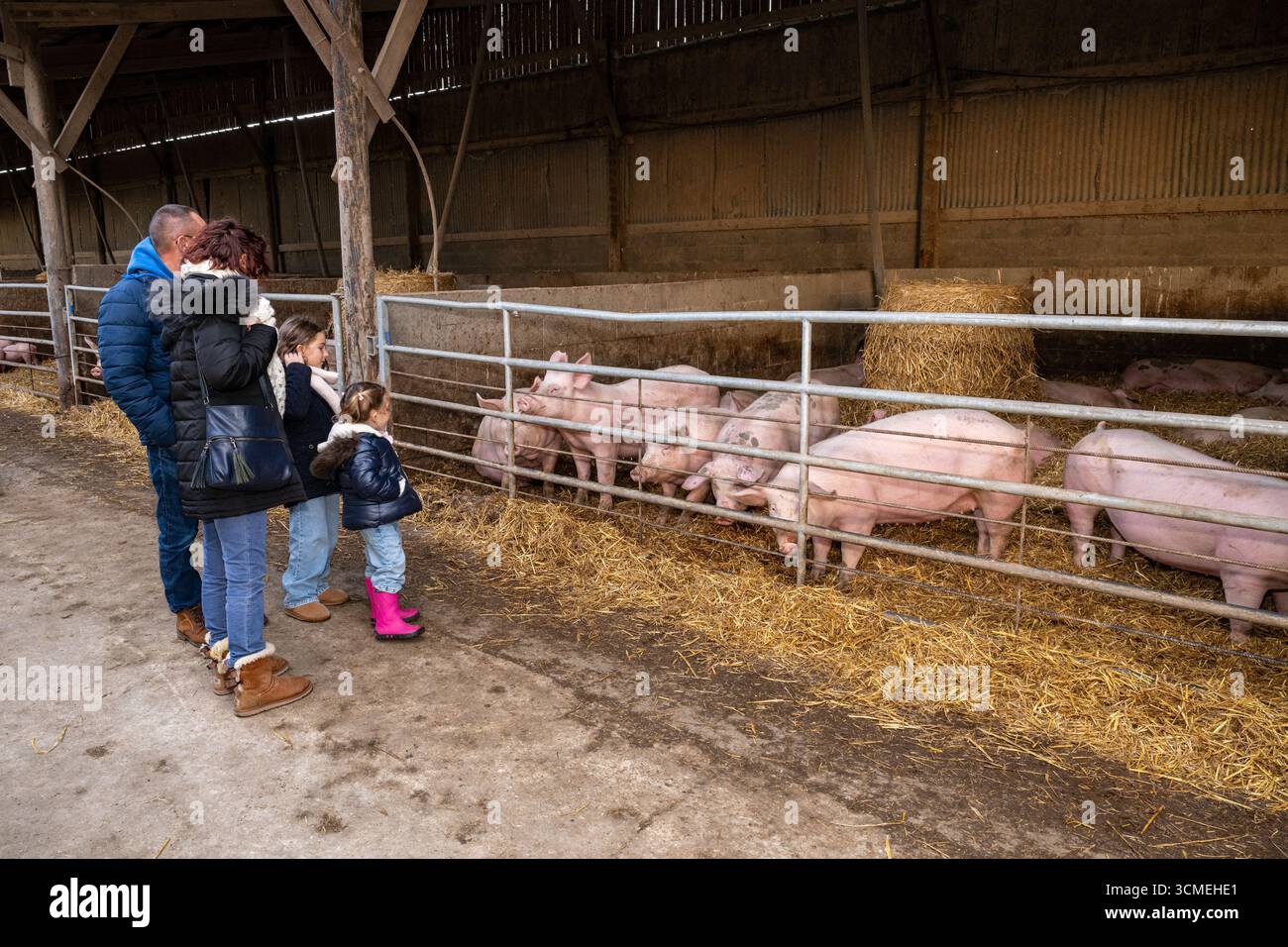 Ferme des Chataigniers à Catenay (nord de la France) : journée portes ouvertes annuelle dans cette ferme qui vend des produits agricoles (viandes cuites, produits laitiers, etc Banque D'Images