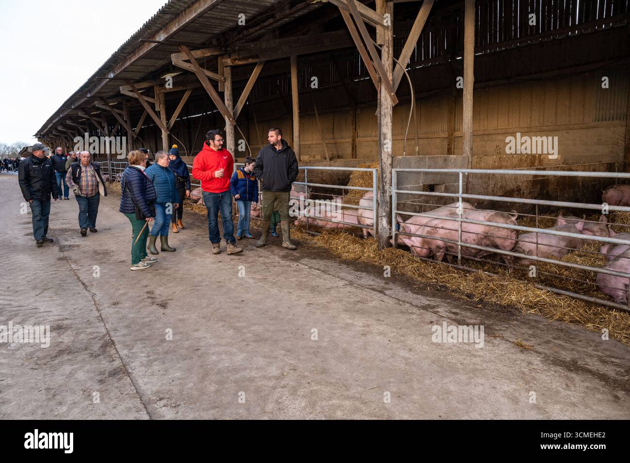 Ferme des Chataigniers à Catenay (nord de la France) : journée portes ouvertes annuelle dans cette ferme qui vend des produits agricoles (viandes cuites, produits laitiers, etc Banque D'Images