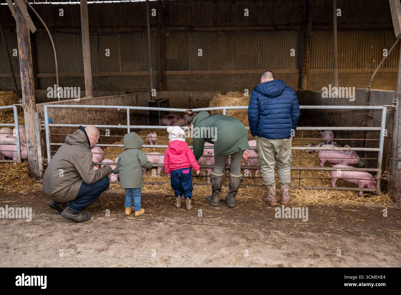 Ferme des Chataigniers à Catenay (nord de la France) : journée portes ouvertes annuelle dans cette ferme qui vend des produits agricoles (viandes cuites, produits laitiers, etc Banque D'Images