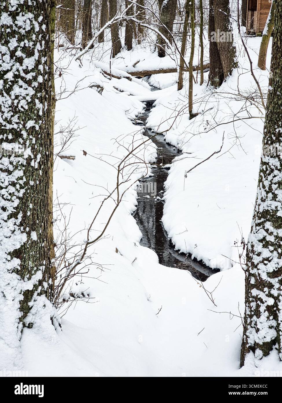 Petit ruisseau d'eau dans le ravin dans la forêt d'hiver. Ressort incurvé étroit dans les bois d'hiver enneigés. Banque D'Images