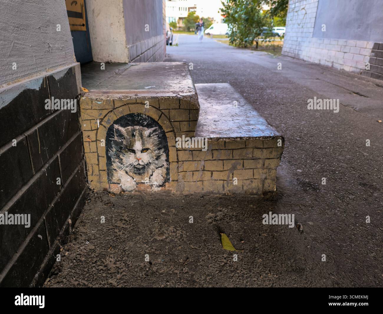 Petite murale de rue d'un chat peint sur les marches du bâtiment dans la cour résidentielle. Banque D'Images