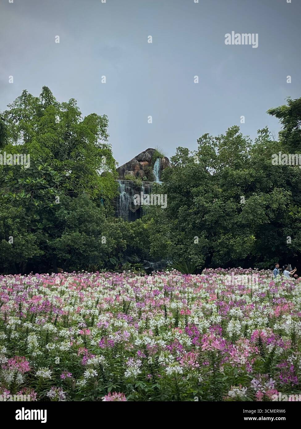 Chassez les cascades et capturez la magie de la nature au parc des cascades Dan Tewada Land of Angels Banque D'Images