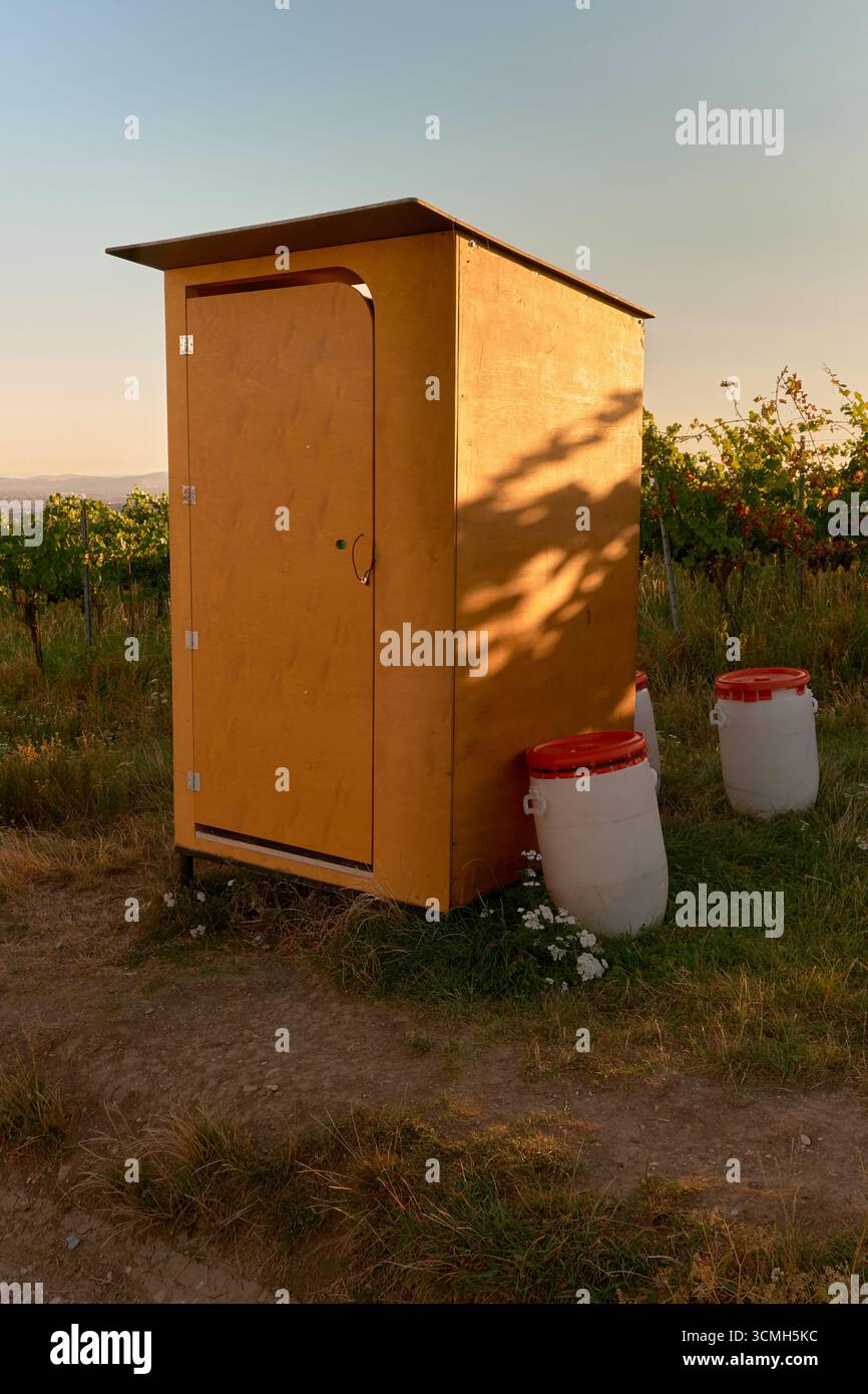 Photo verticale d'une cabine de toilette portable en bois avec des copeaux de bois sur une colline de vignoble. La lumière chaude du coucher de soleil baigne la scène, soulignant l'automne co Banque D'Images