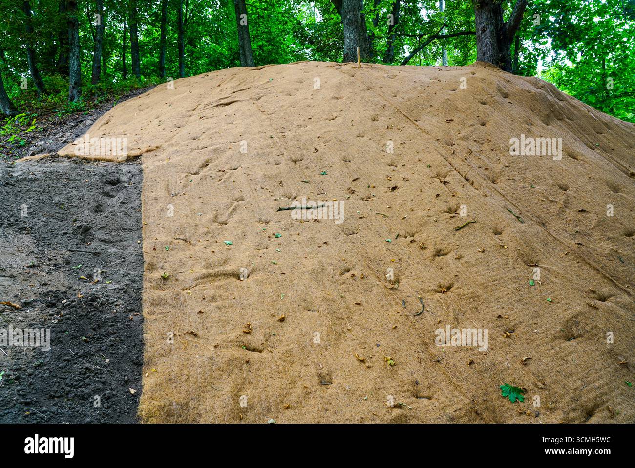 Tapis de contrôle de l'érosion en fibre naturelle appliquée sur la pente du sol pour prévenir l'érosion, soutenir la stabilité et favoriser la repousse de la végétation Banque D'Images