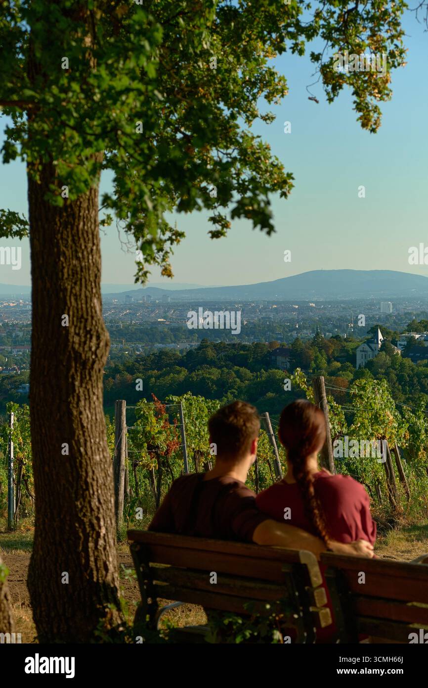 Photo verticale avec un couple assis sur un banc floue au premier plan. Les vignobles et la vue panoramique sur Vienne sont à l'honneur sous le soleil chaud de l'automne Banque D'Images