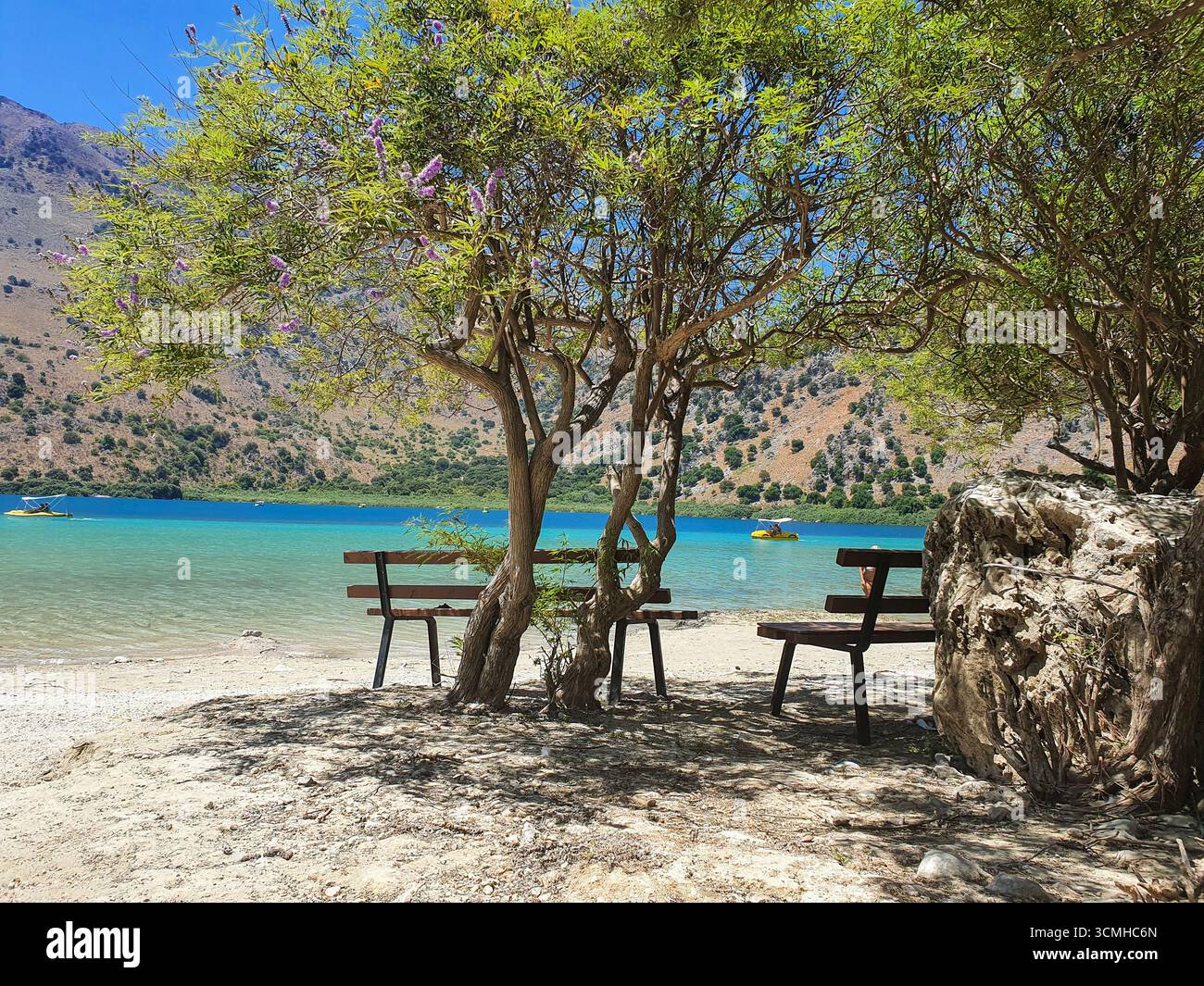 Une scène tranquille avec des bancs vides sous un arbre surplombant les eaux turquoises du lac Kournas, Crète, Grèce Banque D'Images