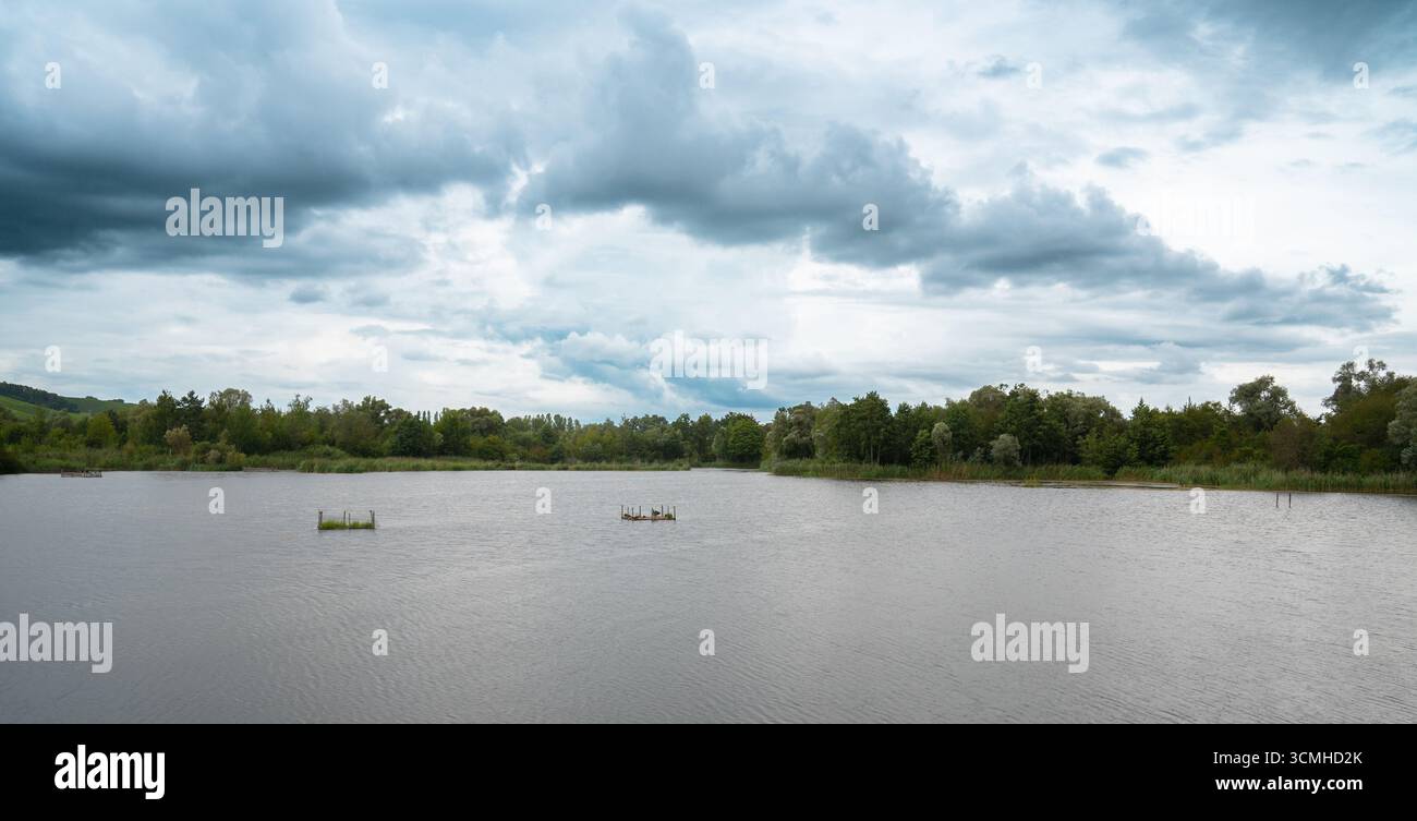 Biodiversité Haff Reimech, zone humide et réserve naturelle au Luxembourg, étang entouré de roseaux et d'arbres, point d'observation des oiseaux Banque D'Images