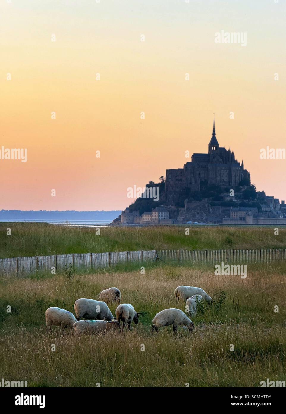 Mont saint michel Banque de photographies et d’images à haute ...