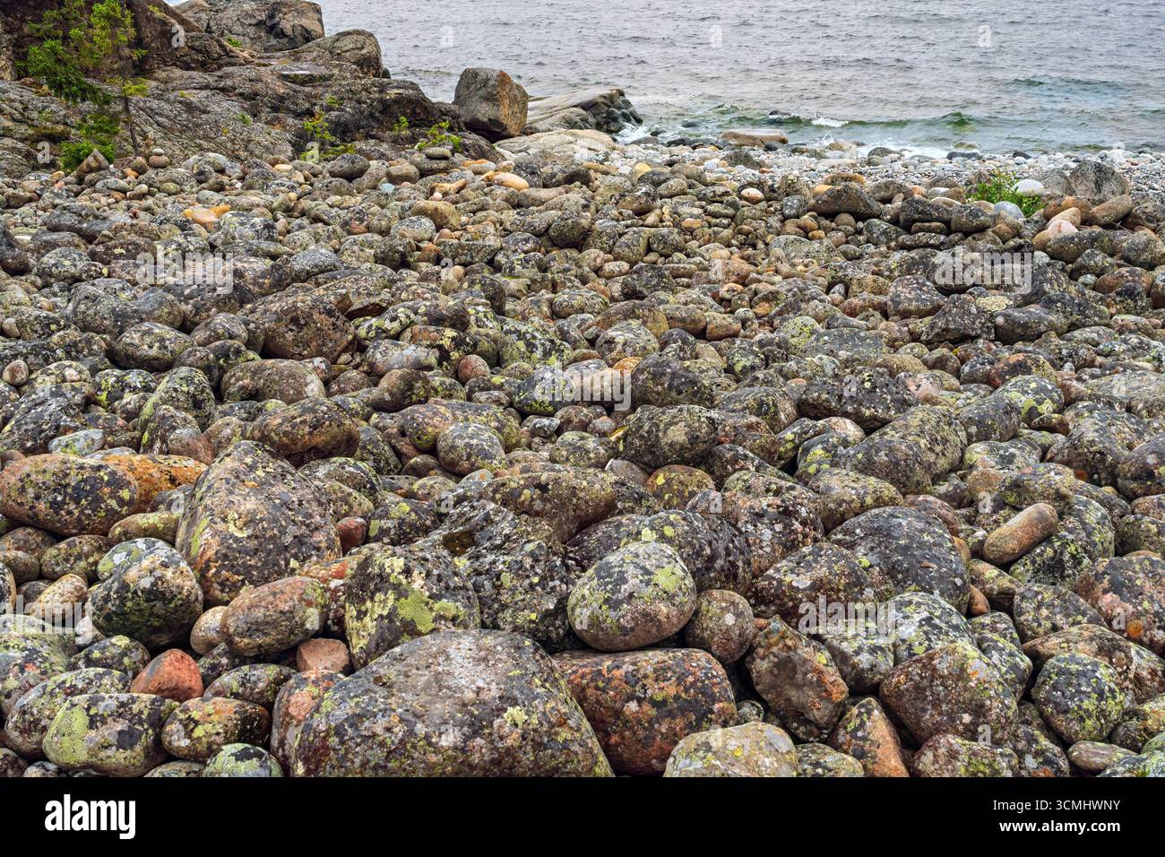 La mousse couvrant des rochers vibrants le long de la rive d'un lac du nord de la Suède crée un motif naturel époustouflant, mettant en valeur la beauté de la wi environnante Banque D'Images