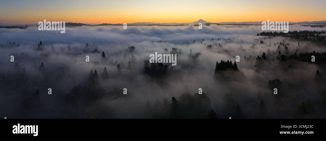 L'aube illumine le brouillard qui dérive à travers les forêts de la vallée de la Willamette dans l'Oregon. Le Nord-Ouest Pacifique est connu pour ses vastes ressources forestières. Banque D'Images