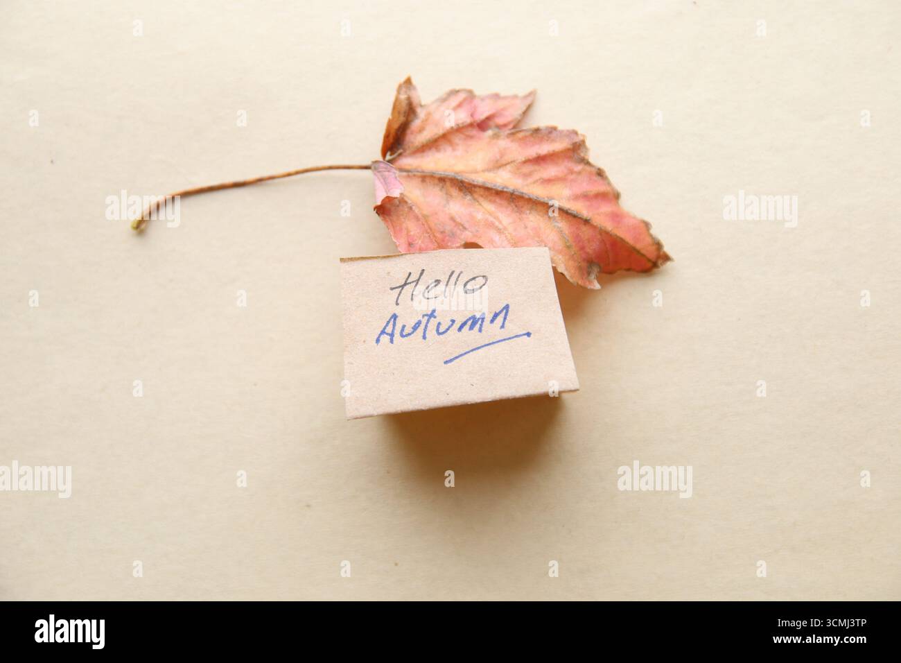 Bonjour concept d'automne. Fond d'automne. Banque D'Images