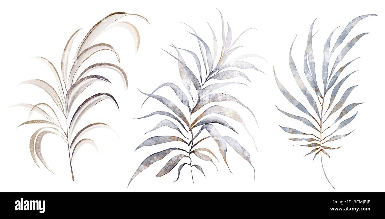 Collection de feuilles de palmier et de plantes tropicales. Illustration botanique à l'aquarelle du feuillage isolé, des frondes et des branches pour la conception, l'impression, la décoration, Banque D'Images