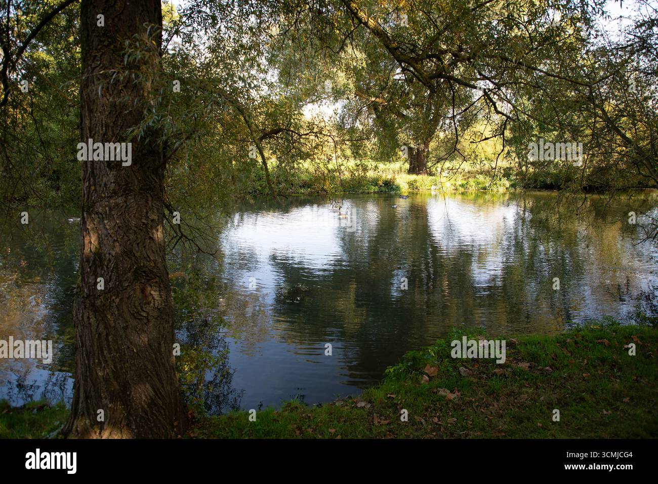 University Park, Oxford Banque D'Images