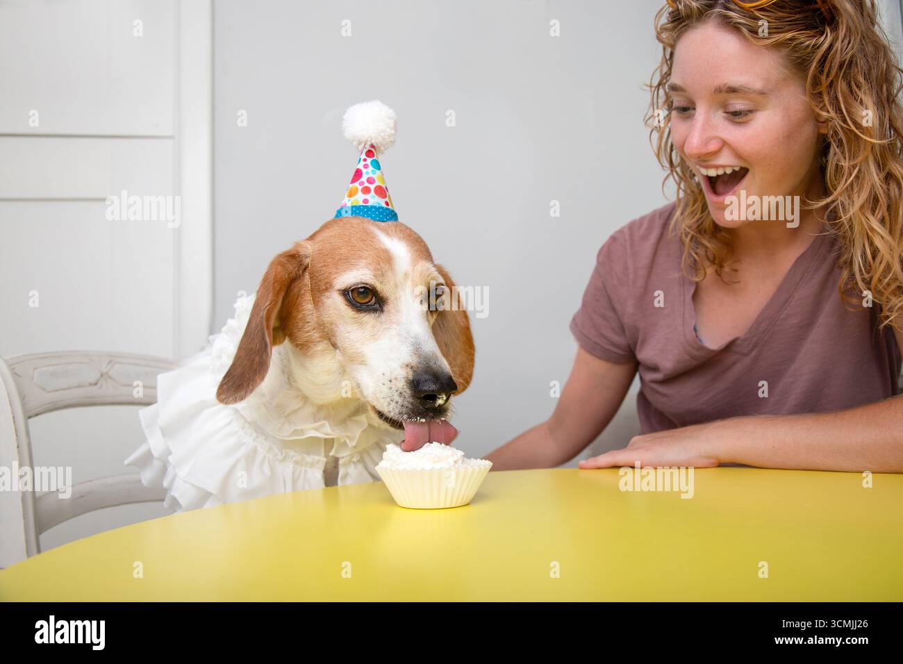 Femme souriante assise à une table de cuisine à côté d'un chien beagle portant un chapeau de fête et un collier tout en mangeant un cupcake Banque D'Images