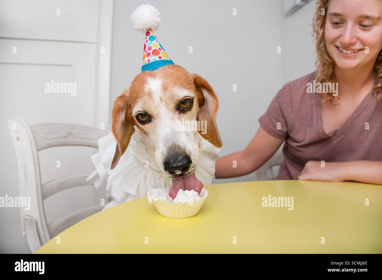Femme souriante assise à une table de cuisine à côté d'un chien beagle portant un chapeau de fête et un collier tout en mangeant un cupcake Banque D'Images