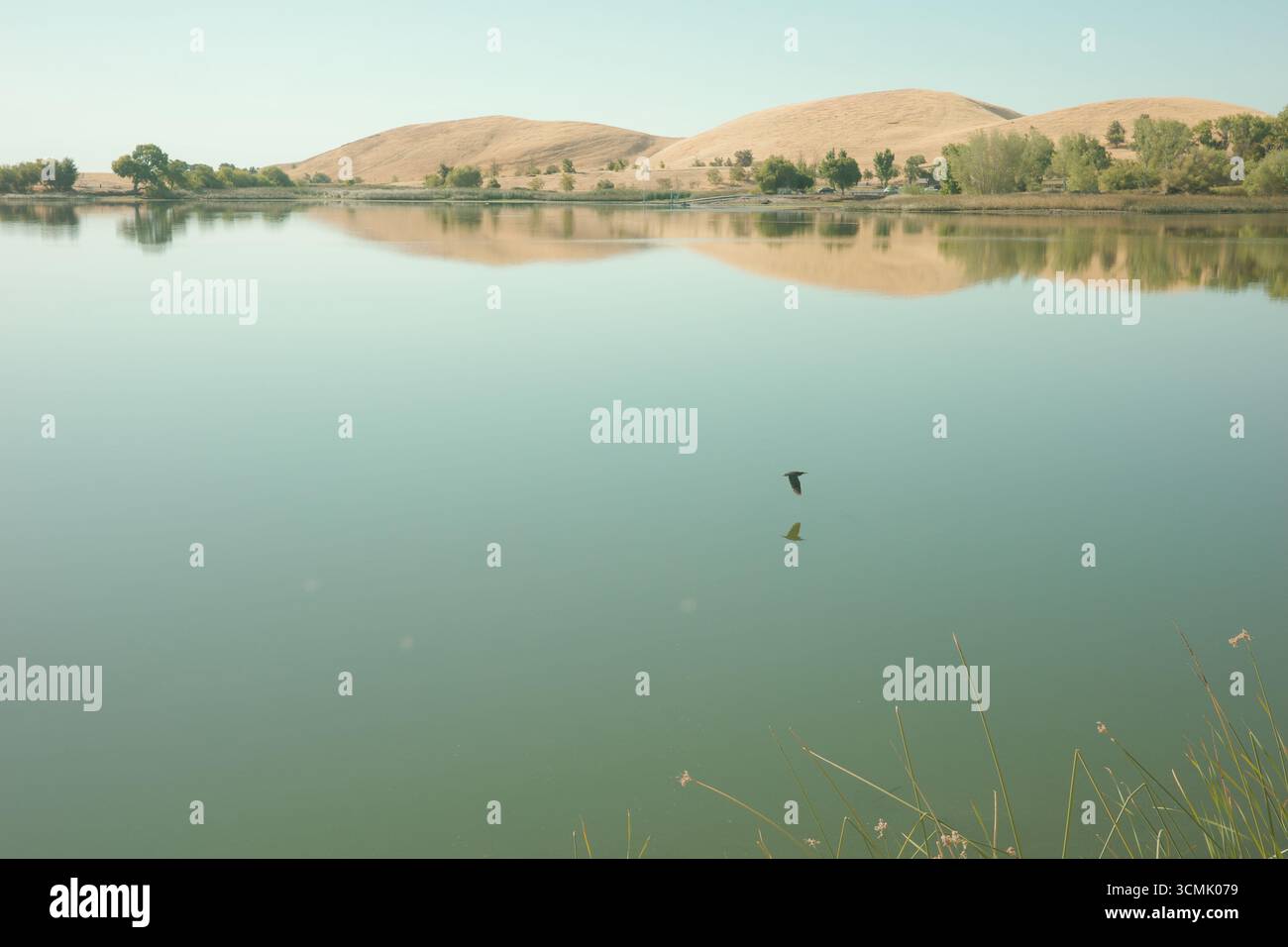 Vues estivales du réservoir Contra Loma dans le quartier du parc régional East Bay. Les photographies capturent des coteaux dorés, des reflets d'eaux tranquilles. Banque D'Images