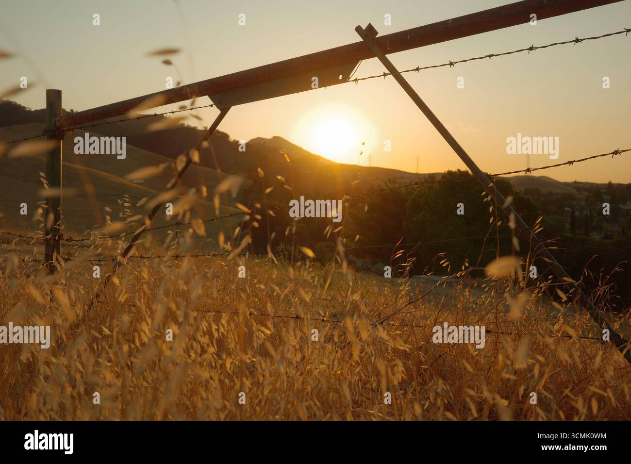 Coucher de soleil doré sur les collines d'Antioch, Californie, avec une clôture rustique et des barbelés au premier plan. Prise près de Contra Loma et East Bay Banque D'Images