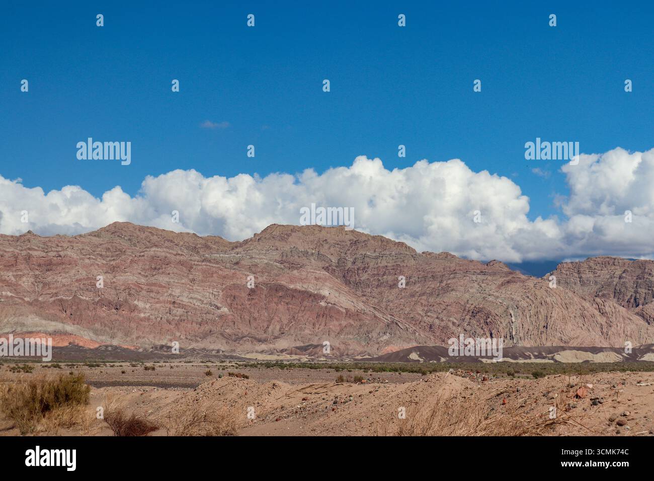 Un paysage désertique à Fiambalá, Catamarca, montrant les montagnes arides des Andes sous un ciel bleu profond avec de grands nuages blancs. Banque D'Images