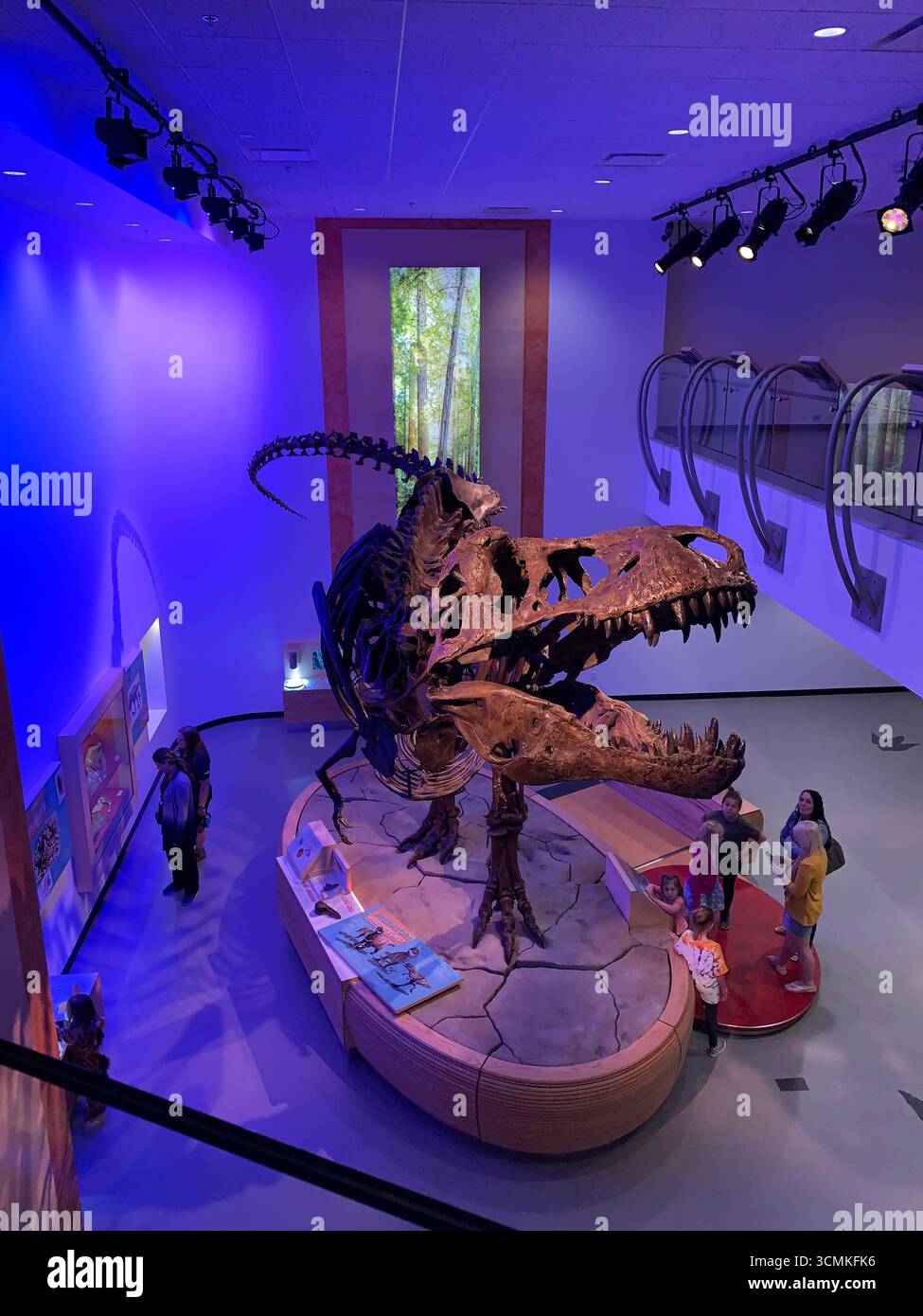 Découvrez le monde fascinant des dinosaures à l'exposition du musée, qui présente un squelette de T-Rex grandeur nature datant du Crétacé. - Image de stock capturée avec un smartphone