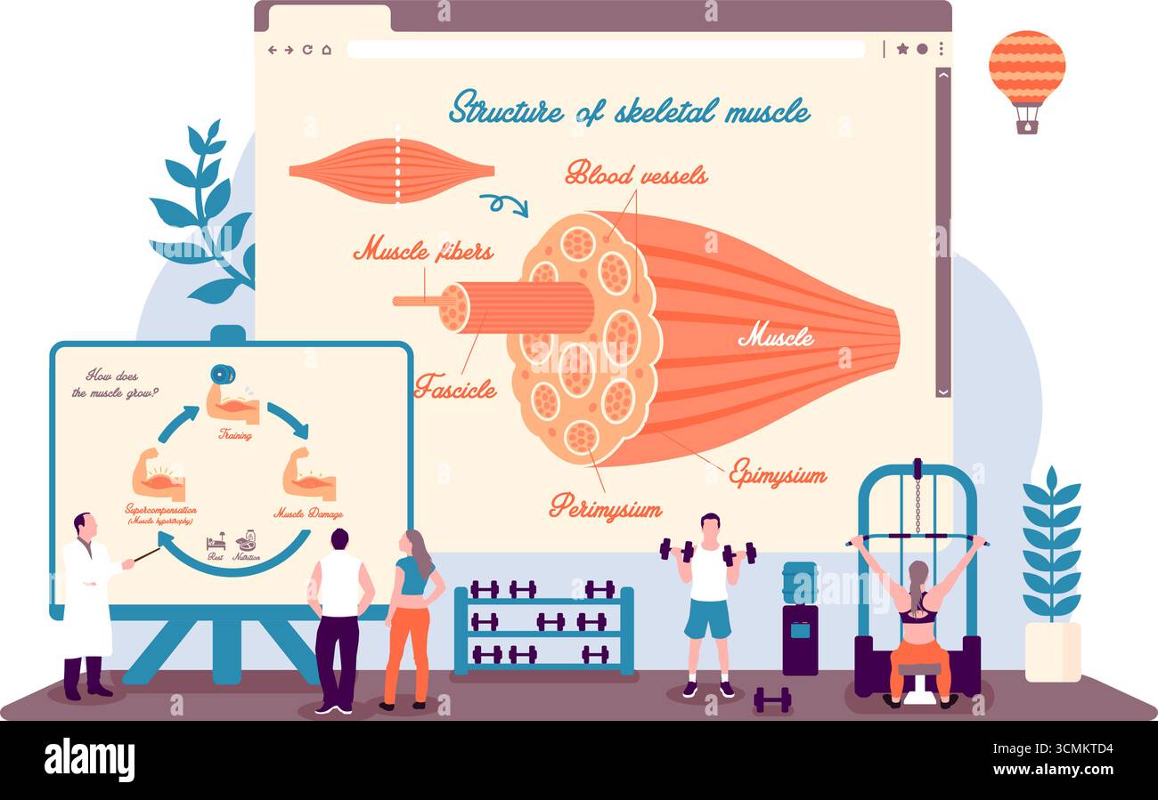Illustrations vectorielles avec un thème fitness Illustration de Vecteur