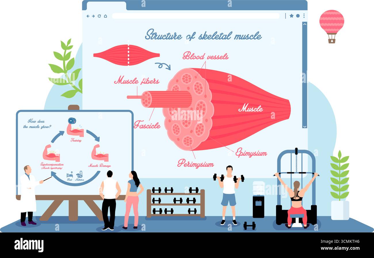 Illustrations vectorielles avec un thème fitness Illustration de Vecteur