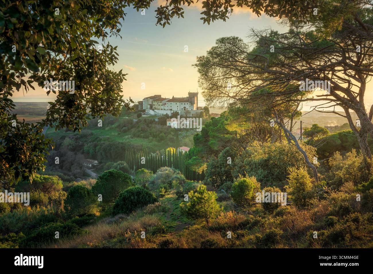 Village médiéval et château de Rosignano Marittimo encadré par une végétation luxuriante à l'heure d'or. Vue surélevée sur le village toscan historique perché Banque D'Images Village médiéval et château de Rosignano Marittimo encadré par une végétation luxuriante à l'heure d'or. Vue surélevée sur le village toscan historique perché Banque D'Images