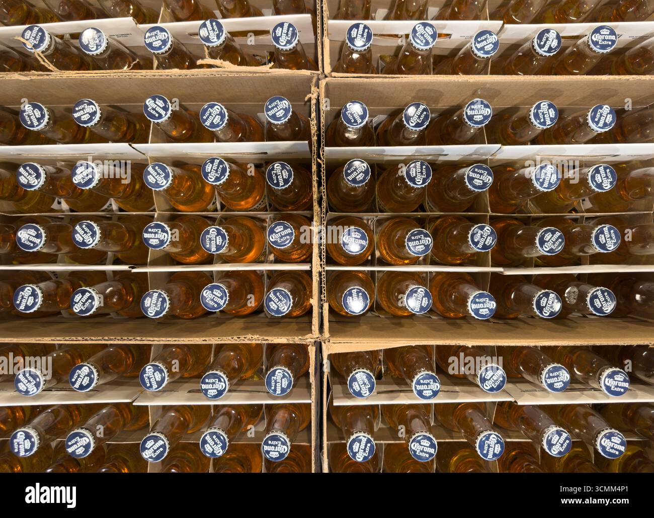 Erevan, Arménie, 25 août 2025 : gros plan sur la bière Corona Extra en paquets de 6 bouteilles. Vue de dessus Banque D'Images