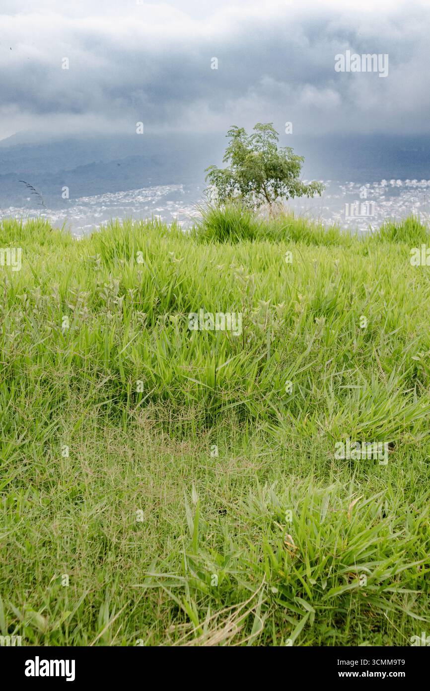 Pas d'ennemis Banque D'Images