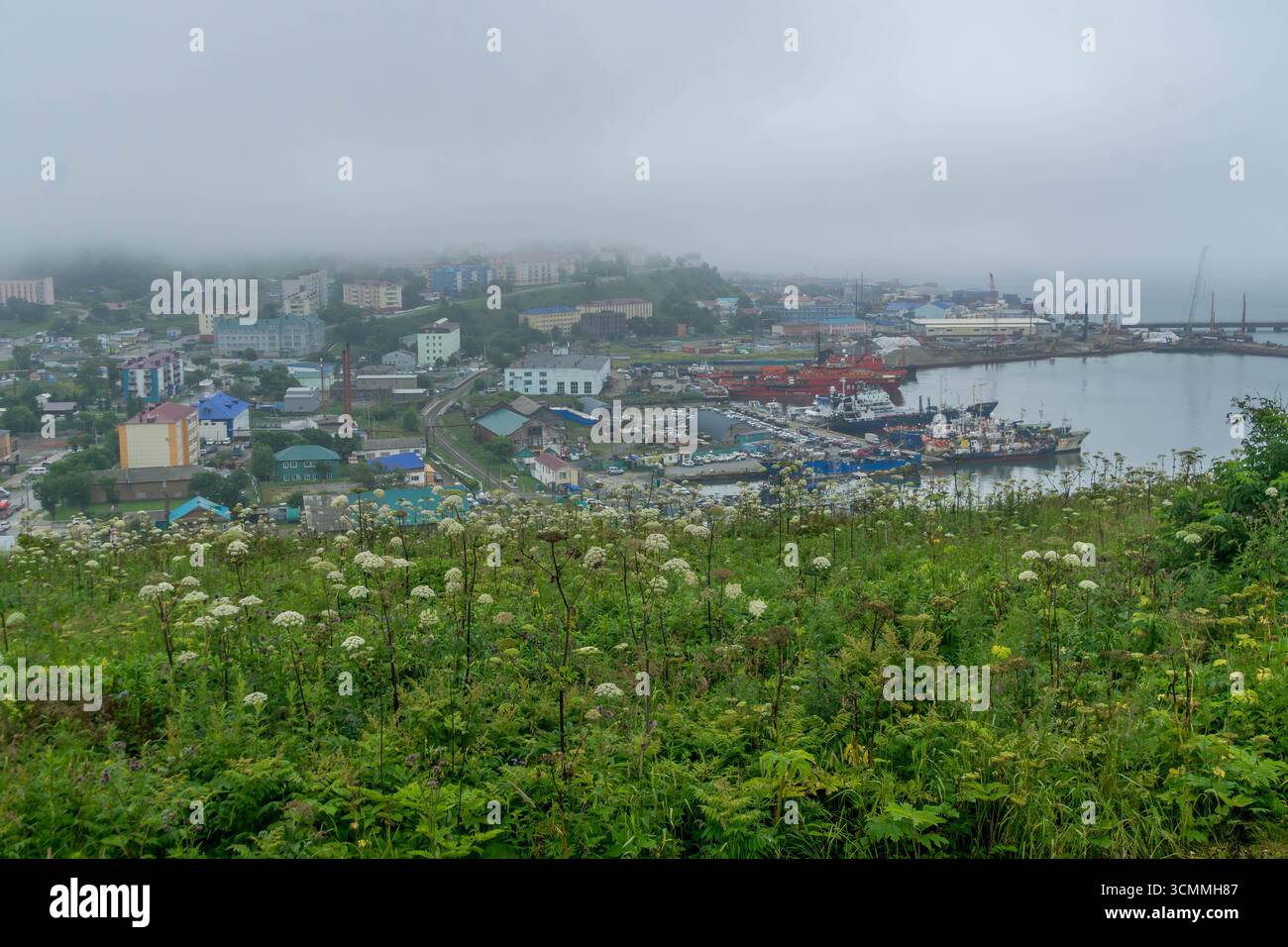 Vue panoramique sur le port à Korsakov, Russie, avec des navires amarrés, des grues et des collines couvertes de brouillard, vu d'une pente herbeuse pendant la journée couverte Banque D'Images