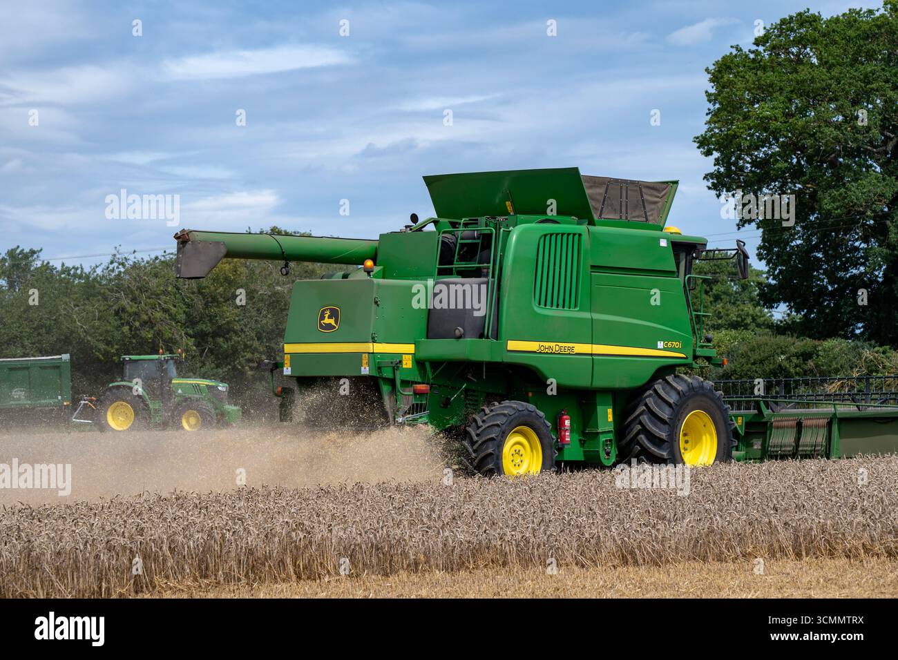 Récolte de blé Wickham Market Suffolk UK Banque D'Images