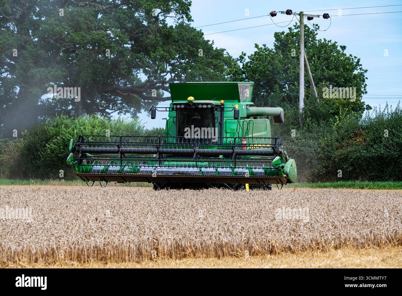 Récolte de blé Wickham Market Suffolk UK Banque D'Images