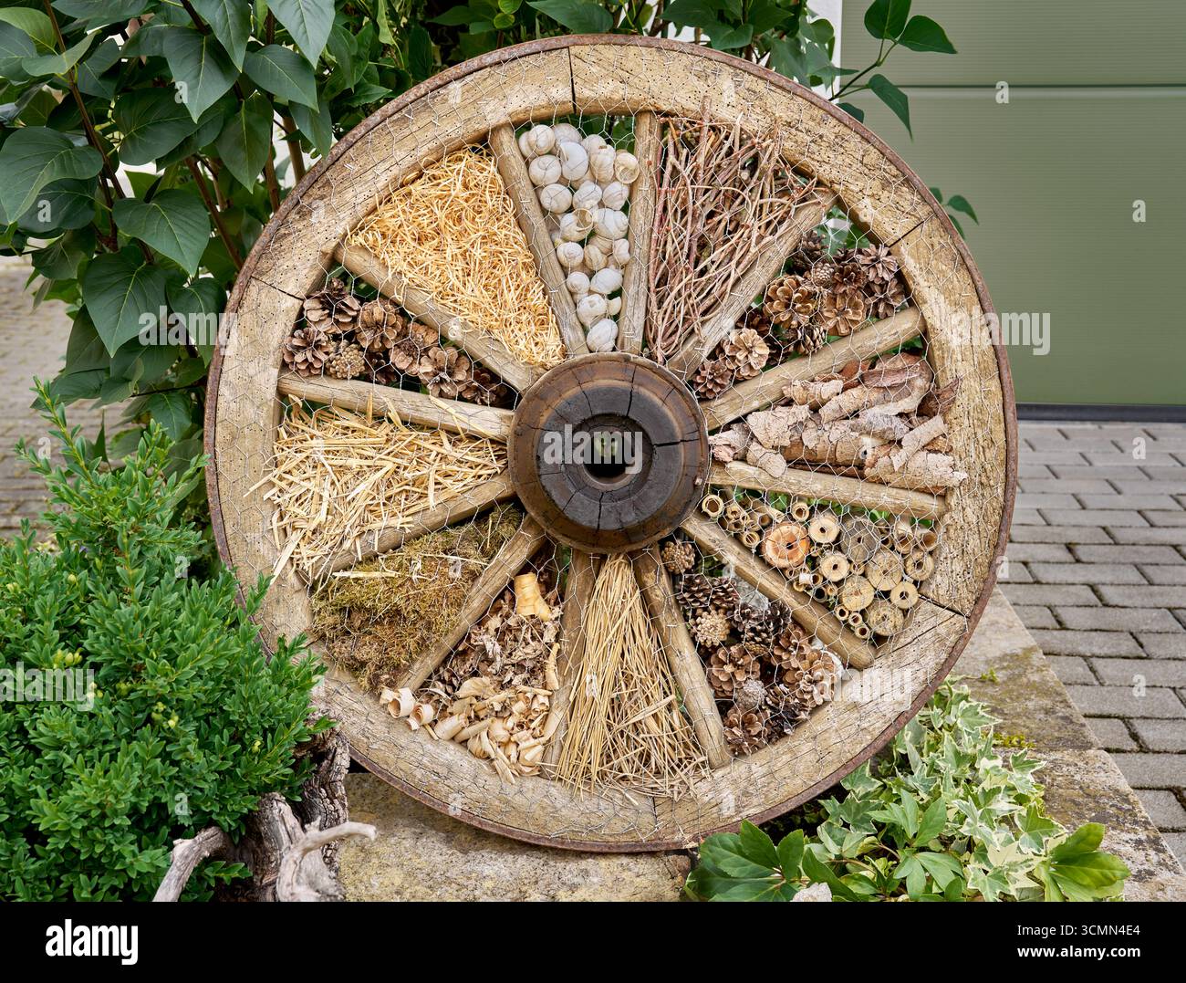 Hôtel à insectes dans une vieille roue de wagon, gros plan dans une allée avec des plantes Banque D'Images