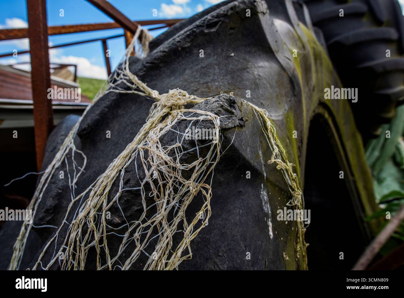 Gros plan d'un vieux pneu de tracteur avec caoutchouc usé et filet de pêche enchevêtré, symbole de la pourriture, de la vie rurale, du recyclage et de l'esthétique rustique industrielle. Banque D'Images