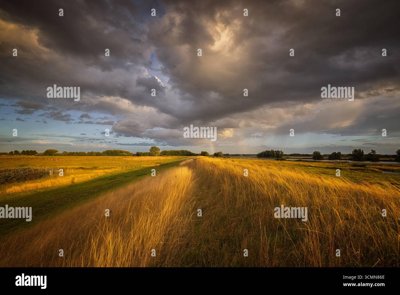 Paysage hollandais typique avec de grands paysages ouverts et une digue - Dintelse Gorzen, pays-Bas Banque D'Images