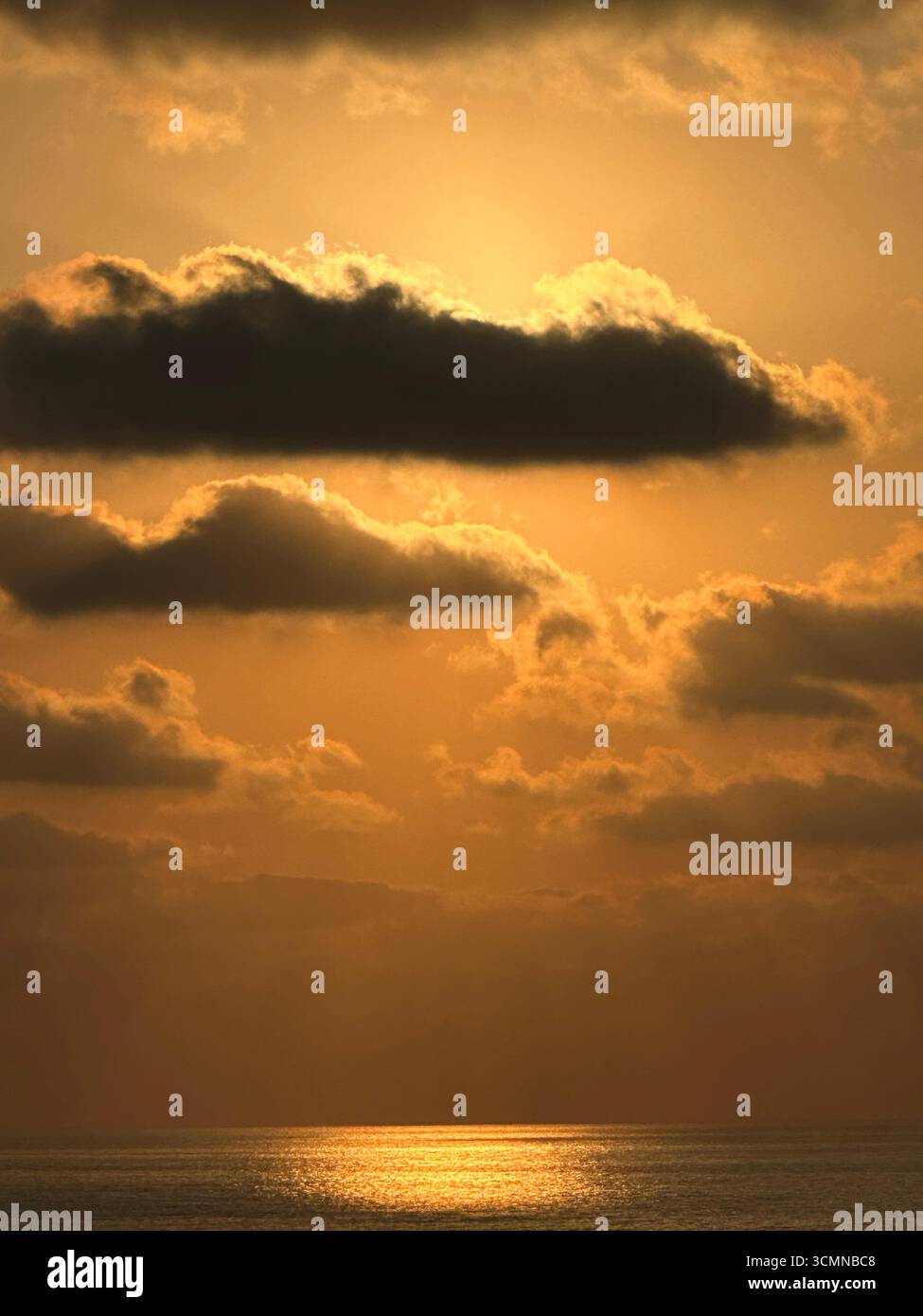 les couleurs dorées du coucher de soleil - Image de stock capturée avec un smartphone