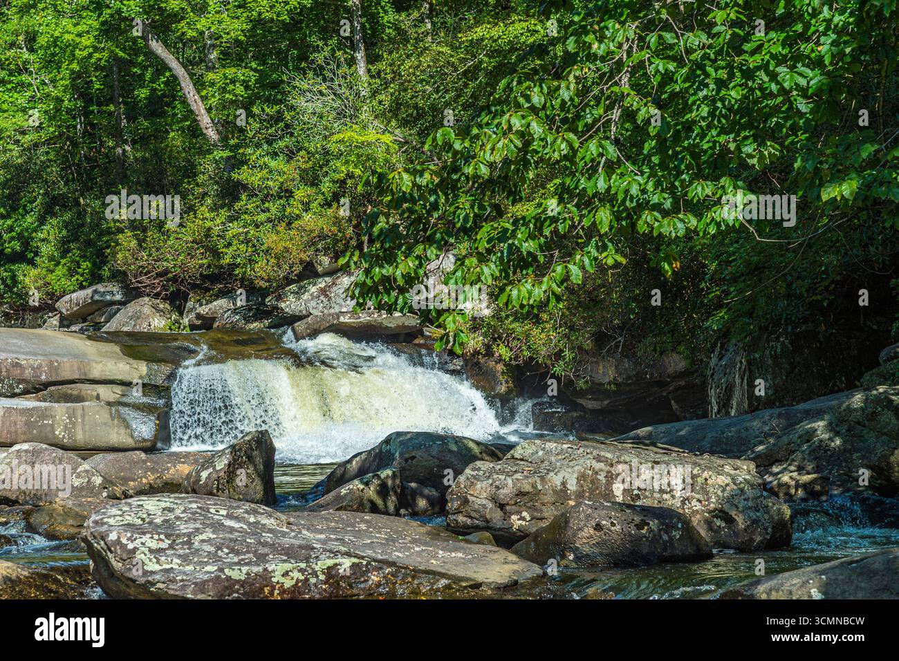 Panthertown Valley Creek, Caroline du Nord, États-Unis Banque D'Images